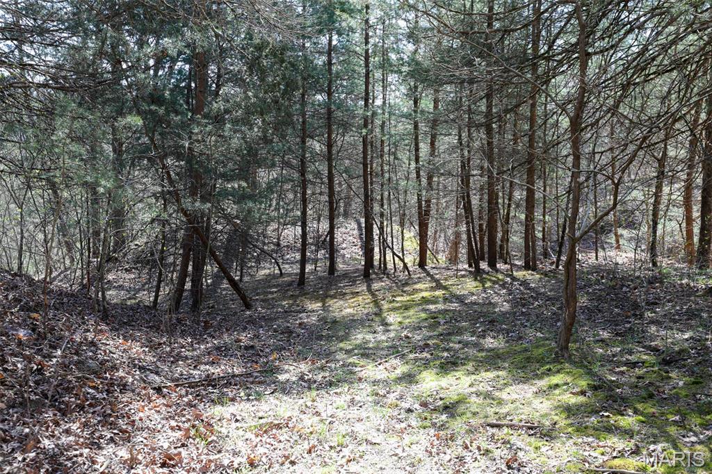 1933 1st Creek Road Hermann, MO 65041 - Photo 81 of 89