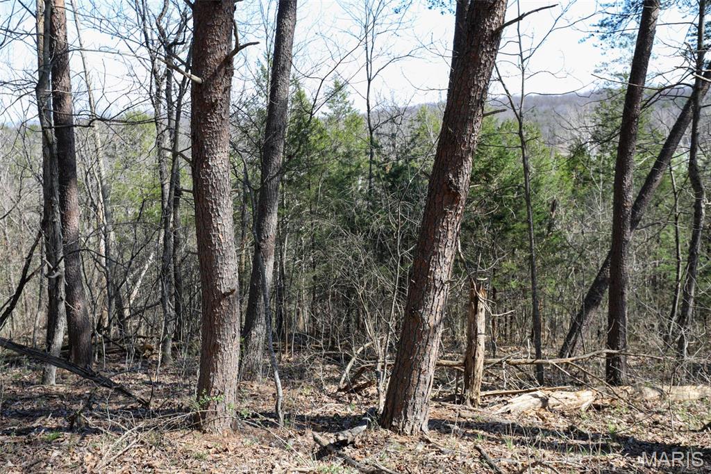 1933 1st Creek Road Hermann, MO 65041 - Photo 83 of 89