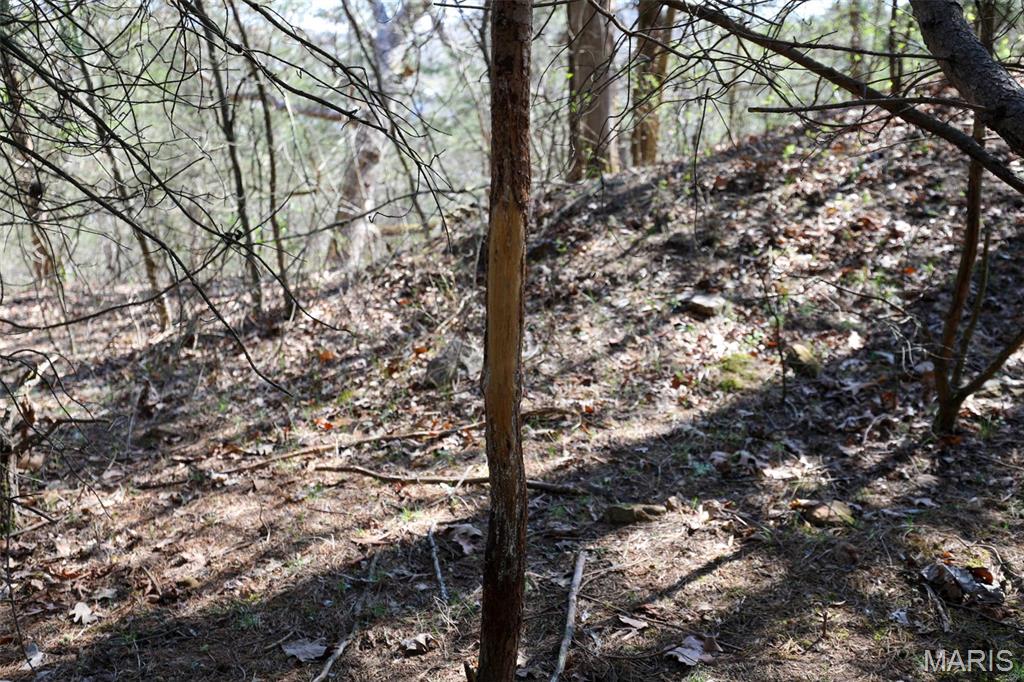 1933 1st Creek Road Hermann, MO 65041 - Photo 84 of 89