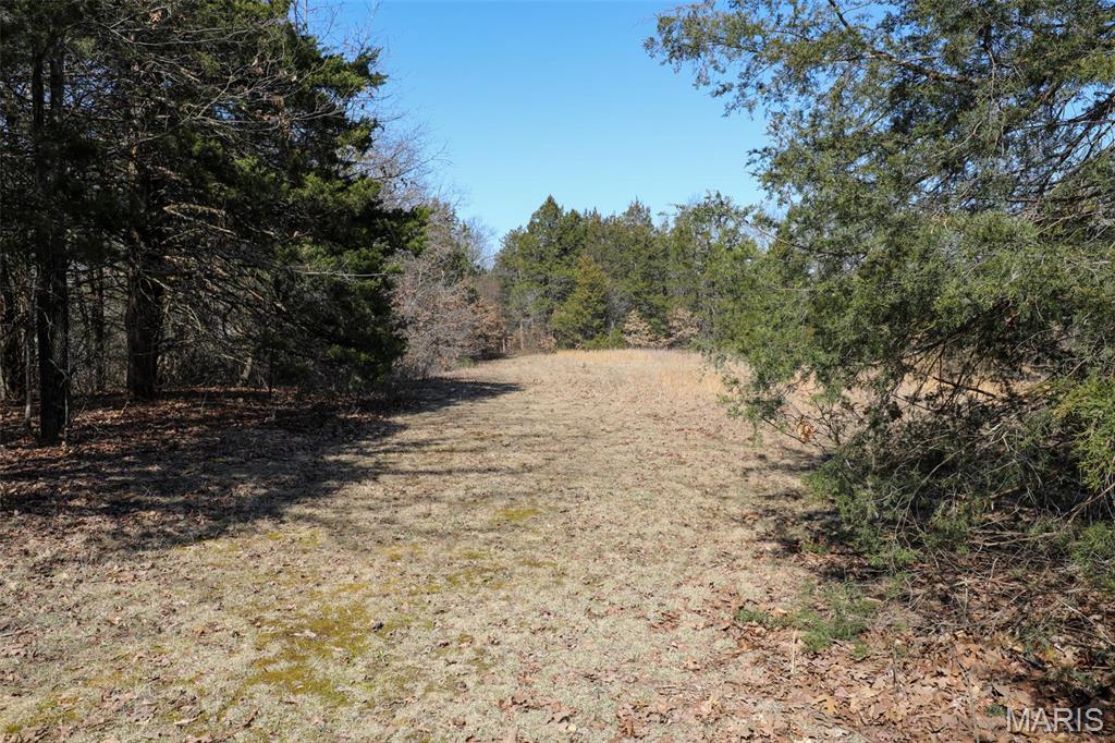 1933 1st Creek Road Hermann, MO 65041 - Photo 85 of 89