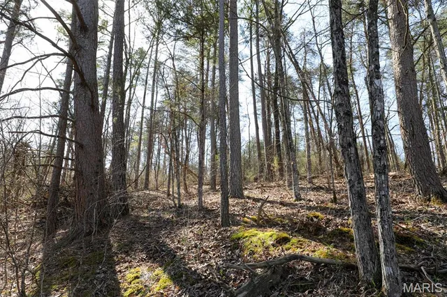 $1,475,000 | 1933 1st Creek Road, Hermann, MO 65041