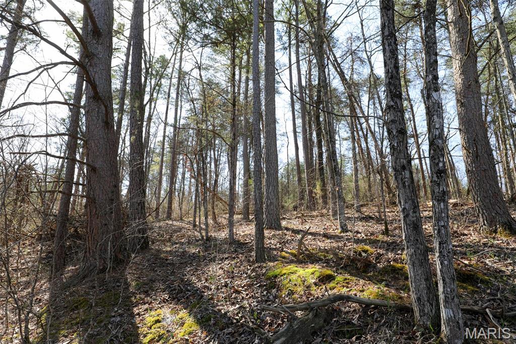 1933 1st Creek Road Hermann, MO 65041 - Photo 86 of 89