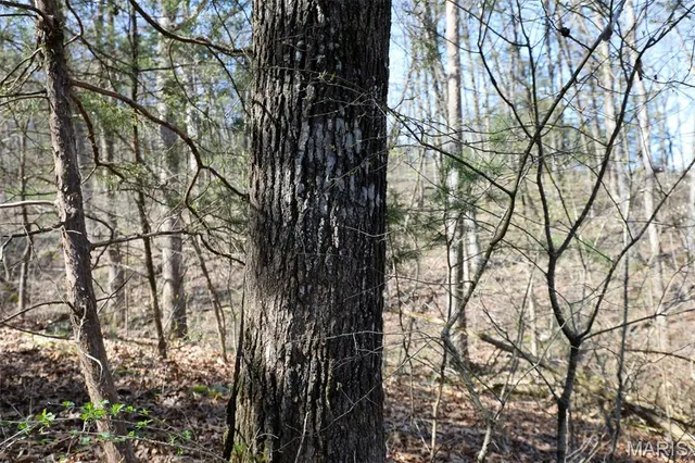 $1,475,000 | 1933 1st Creek Road, Hermann, MO 65041