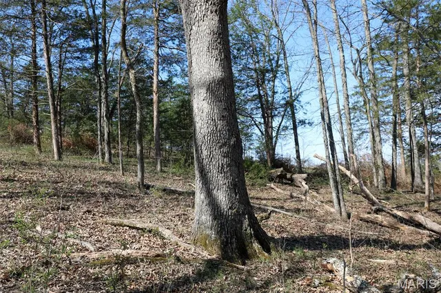 $1,475,000 | 1933 1st Creek Road, Hermann, MO 65041