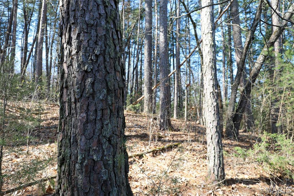 1933 1st Creek Road Hermann, MO 65041 - Photo 89 of 89