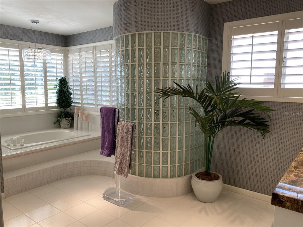 1522 Gulf Boulevard Indian Rocks Beach, FL 33785 - Photo 36 of 52 a bathroom with a potted plant and a bathtub