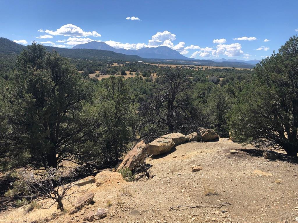 Lot 64 River Ridge Trail La Veta, CO 81055 - Photo 22 of 29