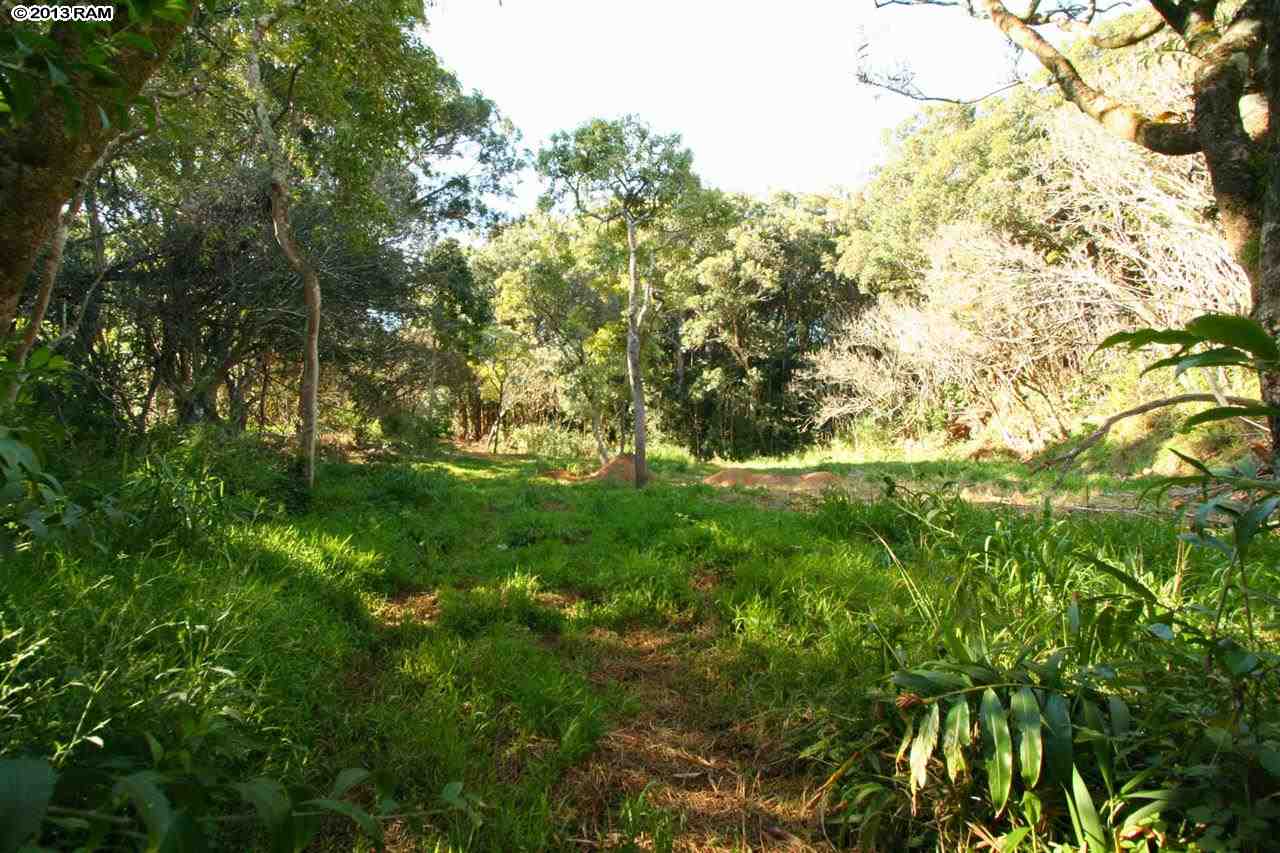40 Waipalani Road Haiku, HI 96708 - Photo 2 of 18 a view of yard with green space