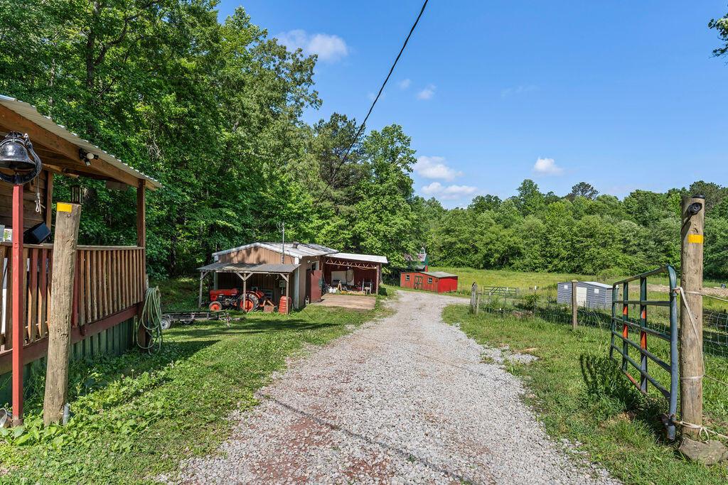 176 Sam Aaron Road Nauvoo, AL 35578 - Photo 12 of 18 Gallery Image 12