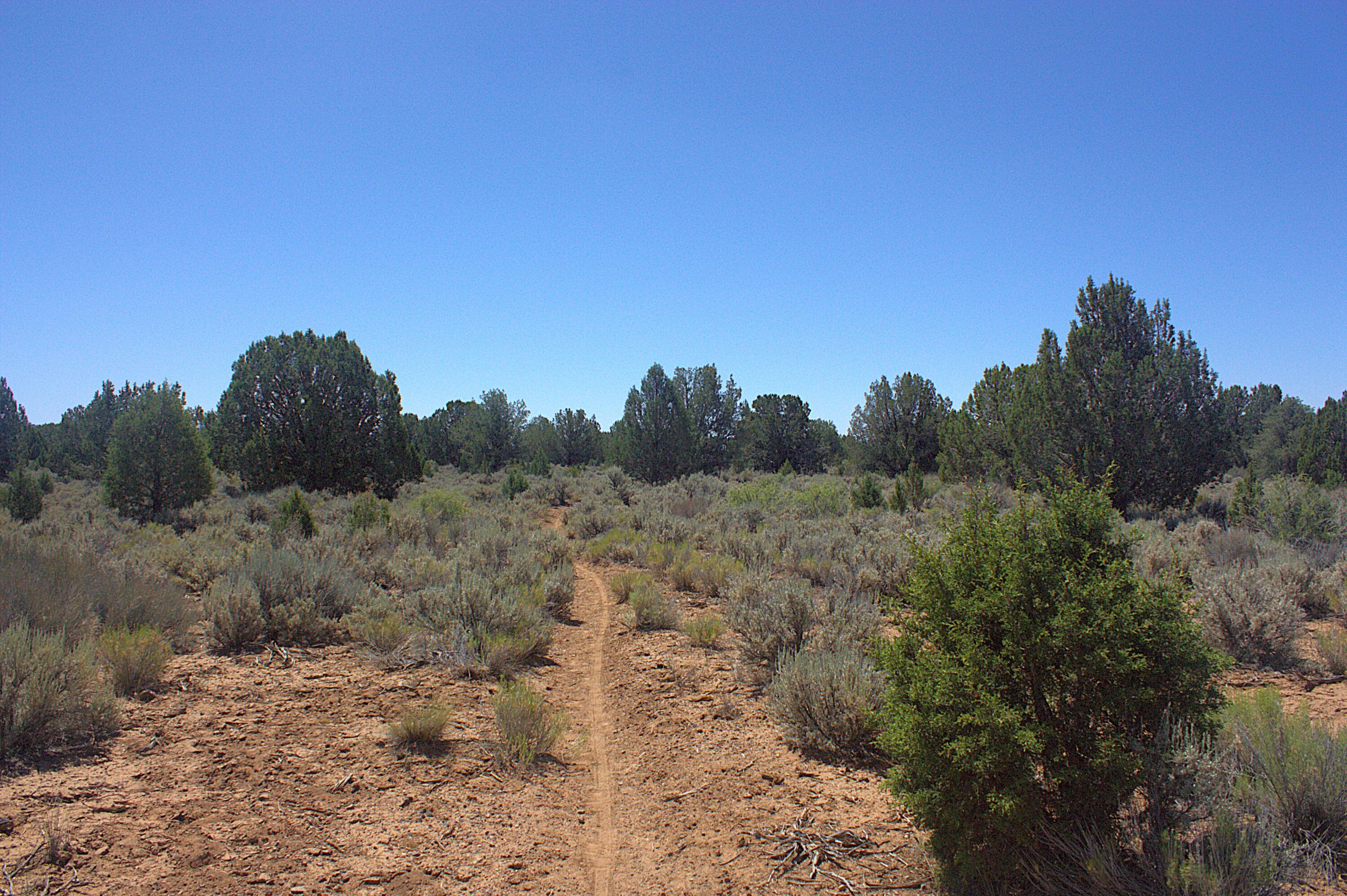 Juniper Road Dammeron Valley, UT 84783 - Photo 17 of 21 _MG_4755