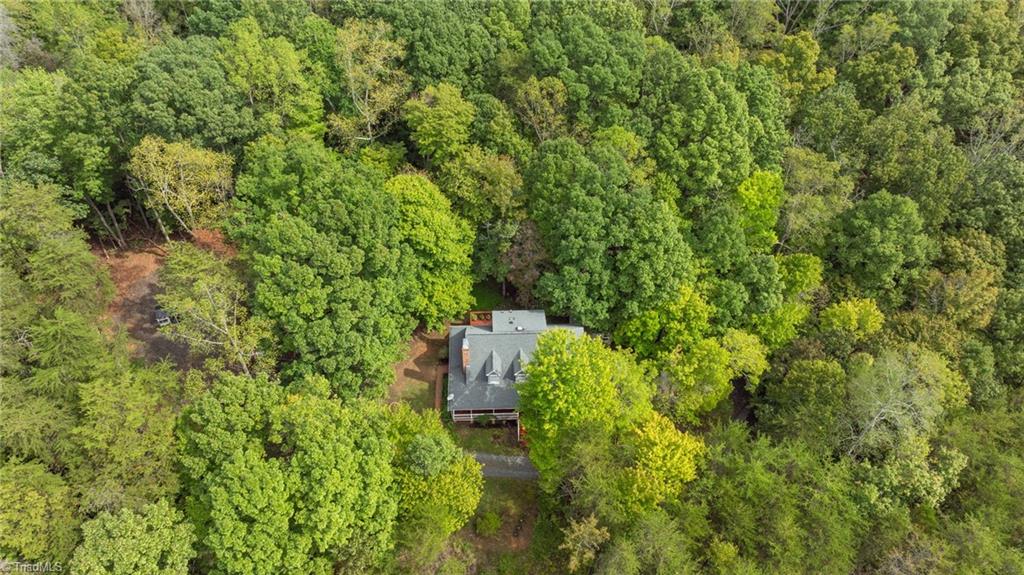 247 Quail Hollow Road Reidsville, NC 27320 - Photo 42 of 46