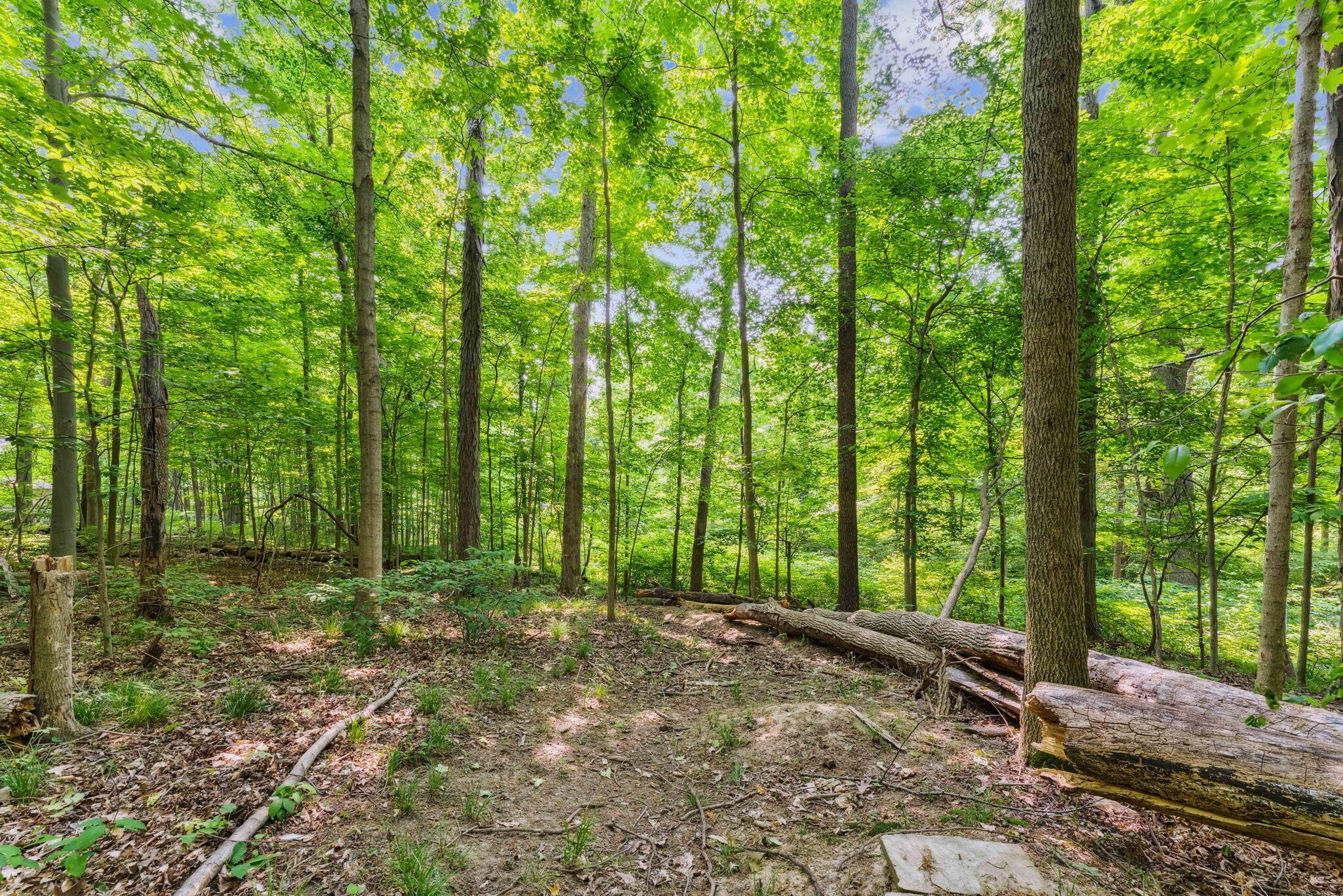 2423 Carriage Road Powell, OH 43065 - Photo 84 of 100 3.34 Wooded Acres