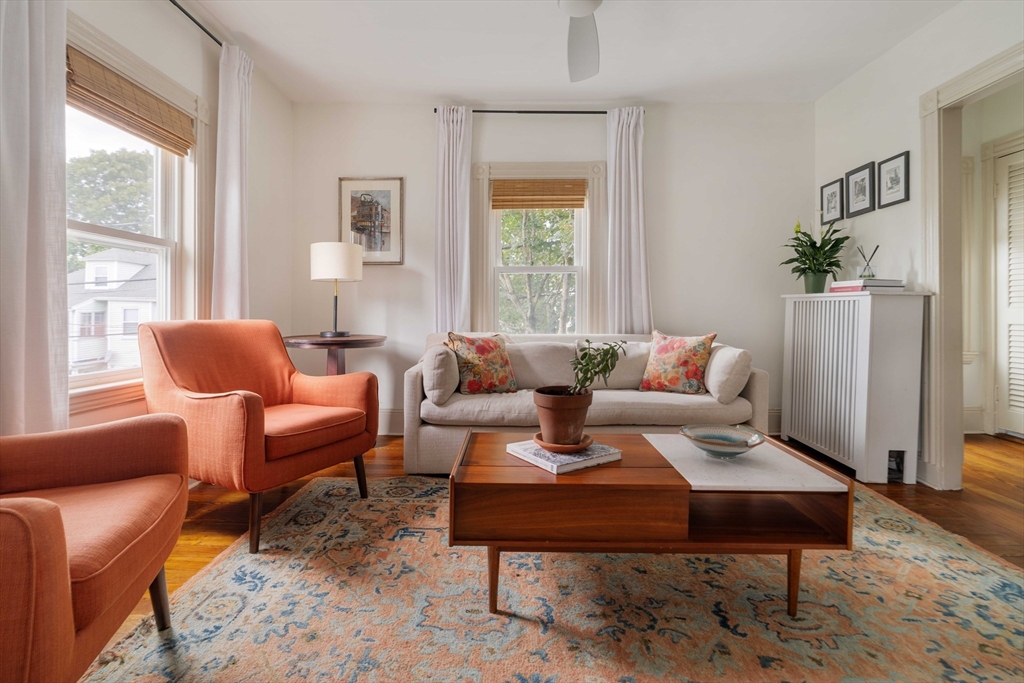 a living room with furniture plant and a window