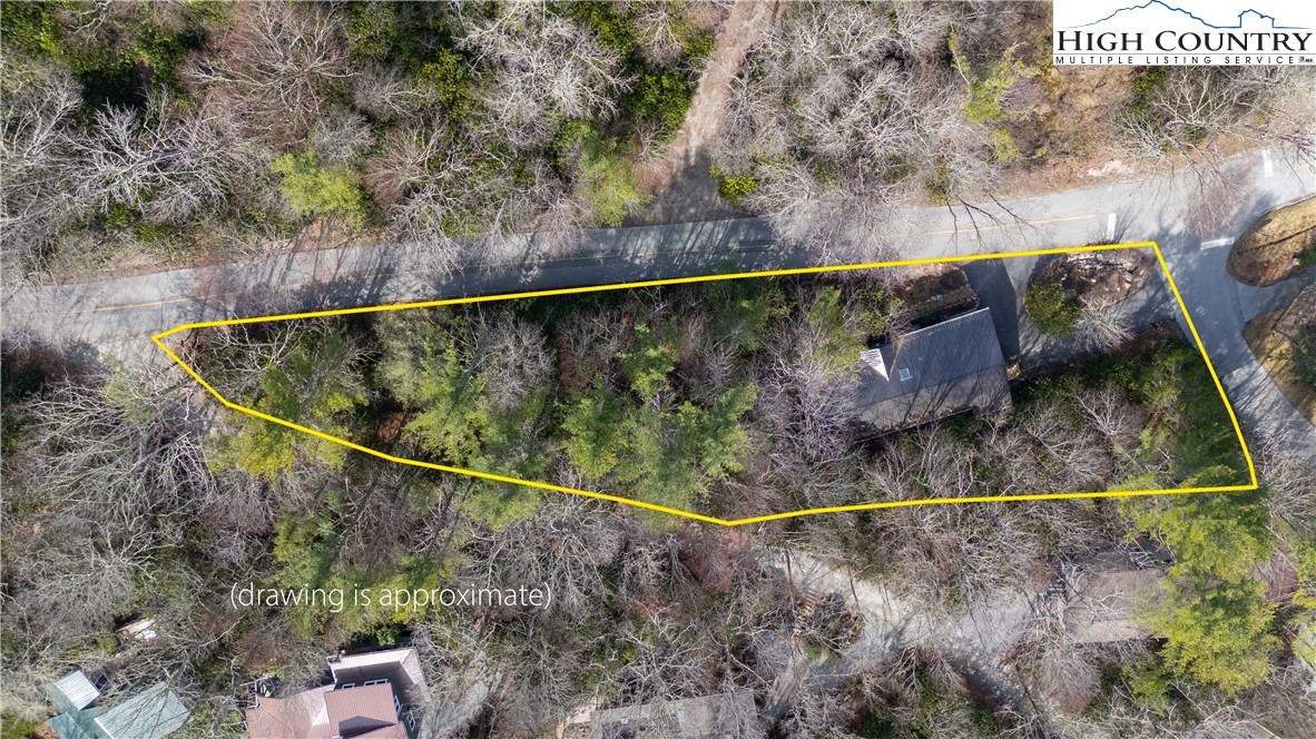 10 Locust Road Newland, NC 28657 - Photo 25 of 36 a view of a forest