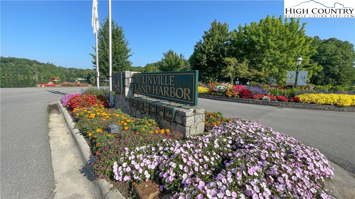 10 Locust Road Newland, NC 28657 - Photo 26 of 36 a view of a street with lots of flower and trees