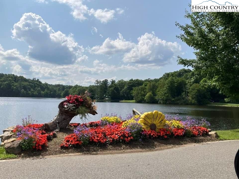 10 Locust Road Newland, NC 28657 - Photo 30 of 36 a view of a lake with a lot of flowers in it