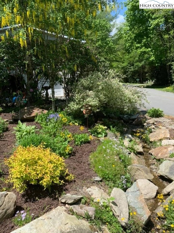 10 Locust Road Newland, NC 28657 - Photo 32 of 36 a garden with lots of trees