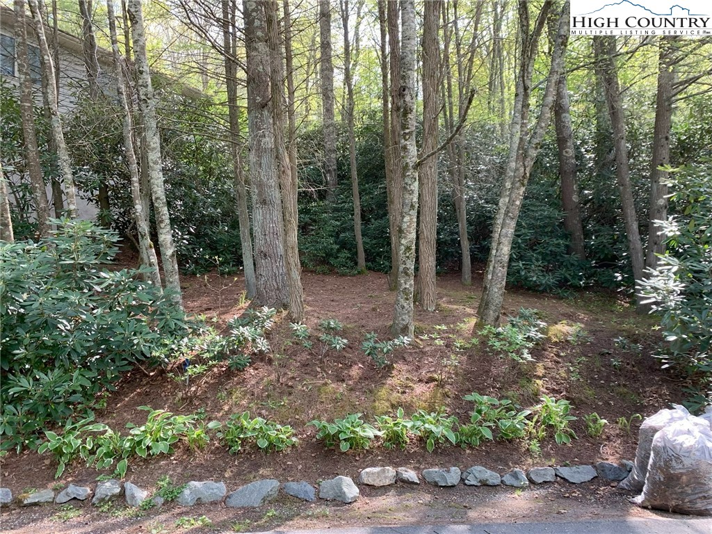 10 Locust Road Newland, NC 28657 - Photo 35 of 36 a view of outdoor space and garden