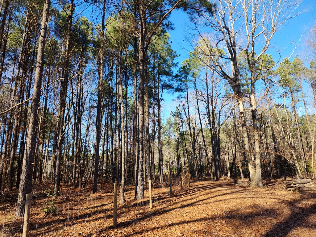 Lot 4 Church Neck Road, Unit 4D Machipongo, VA 23405 - Photo 3 of 6