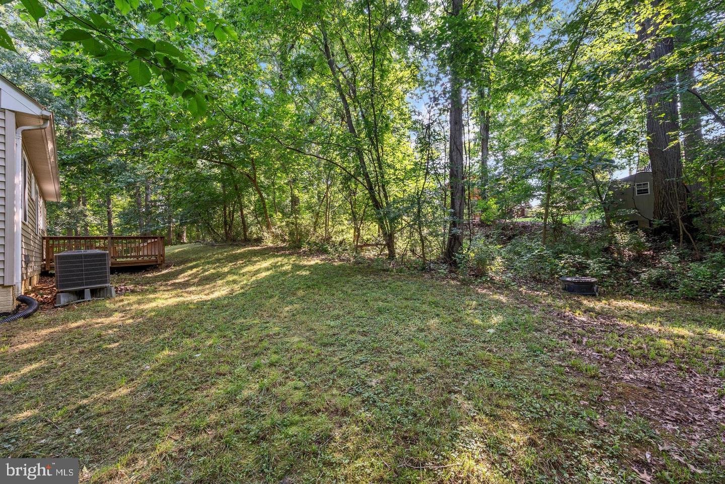 175 Easy Hollow Road Front Royal, VA 22630 - Photo 27 of 28 Side/rear yard