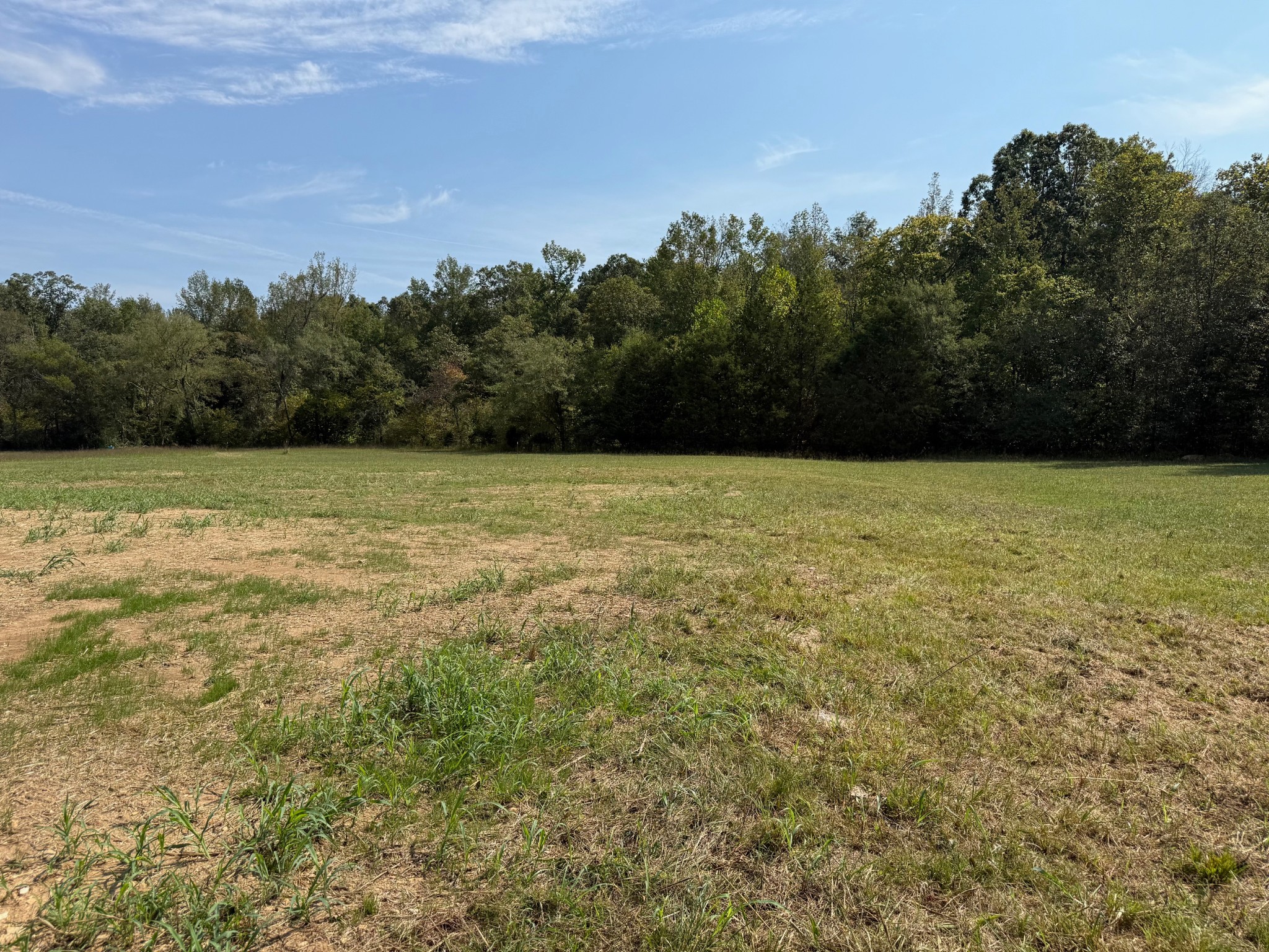 1572 Gilliam Hollow Road Dickson, TN 37055 - Photo 4 of 16 a view of outdoor space and yard