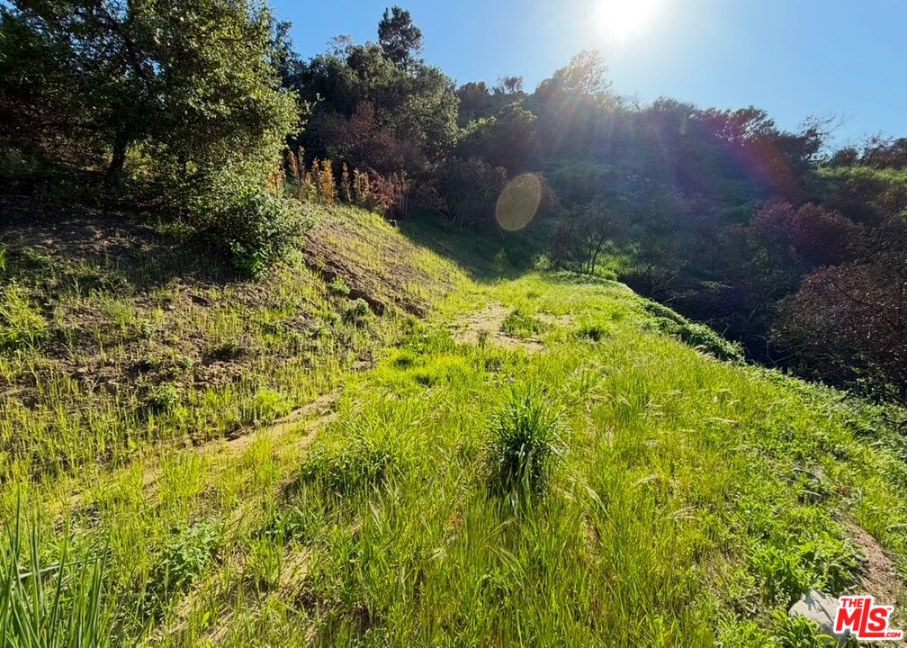 0 Fir Ridge Drive Topanga, CA 90290 - Photo 6 of 17