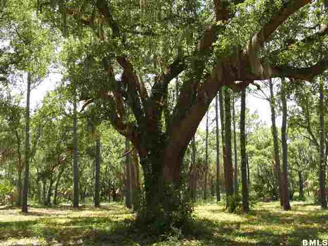 6719 Geneva Road St. Helena Island, SC 29920 - Photo 12 of 14 Additional Photo