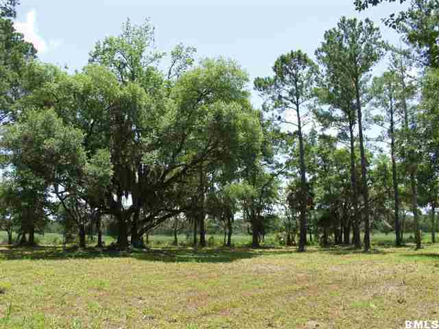 6719 Geneva Road St. Helena Island, SC 29920 - Photo 5 of 14 Additional Photo