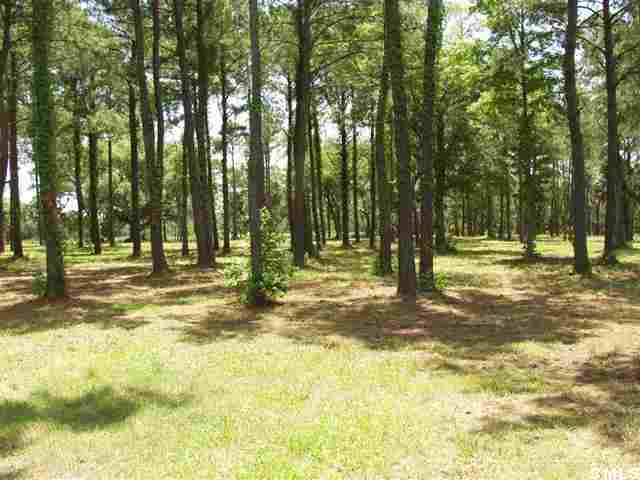 6719 Geneva Road St. Helena Island, SC 29920 - Photo 9 of 14 Additional Photo