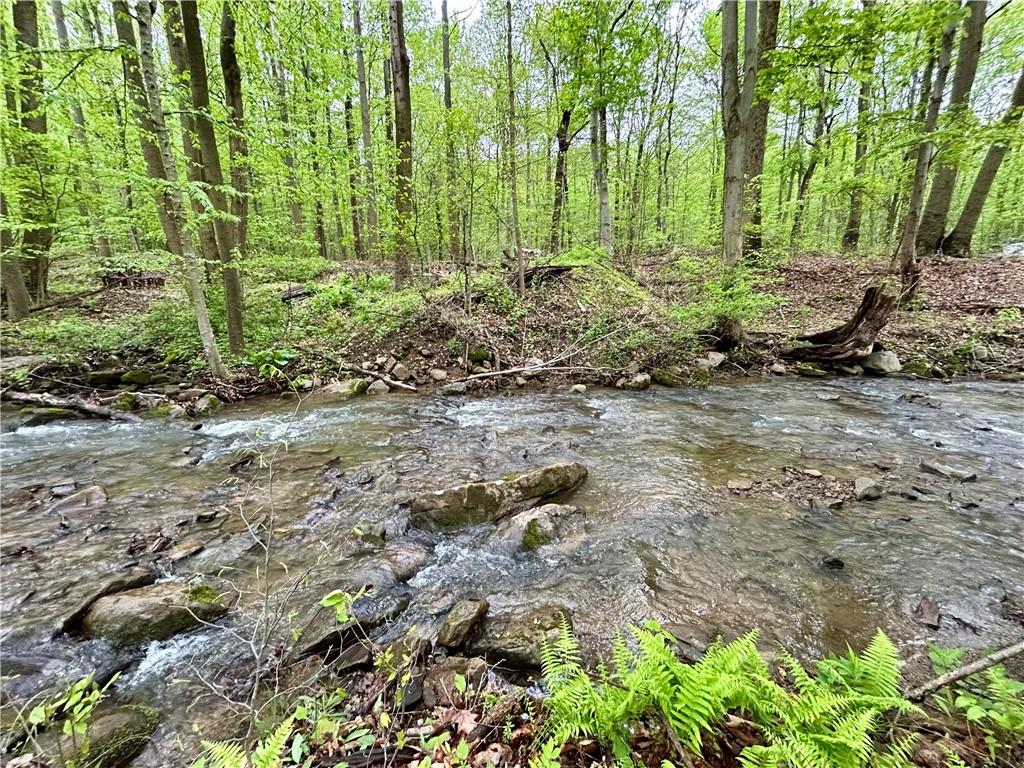 999 Solomon Temple Road Latrobe, PA 15650 - Photo 4 of 21