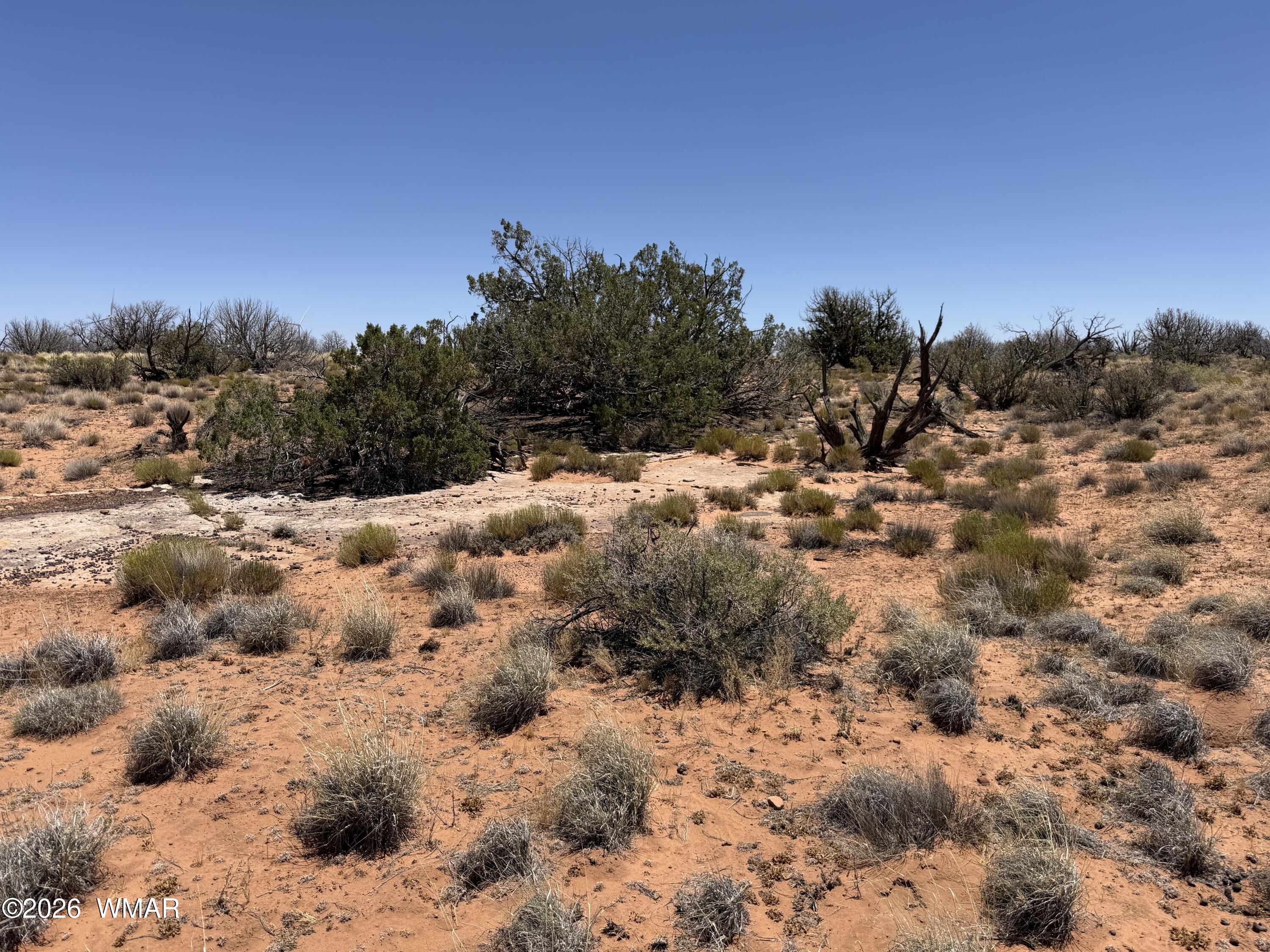 Lot 276 Chev Canyon Ranch, Unit 3 Overgaard, AZ 85933 - Photo 11 of 18