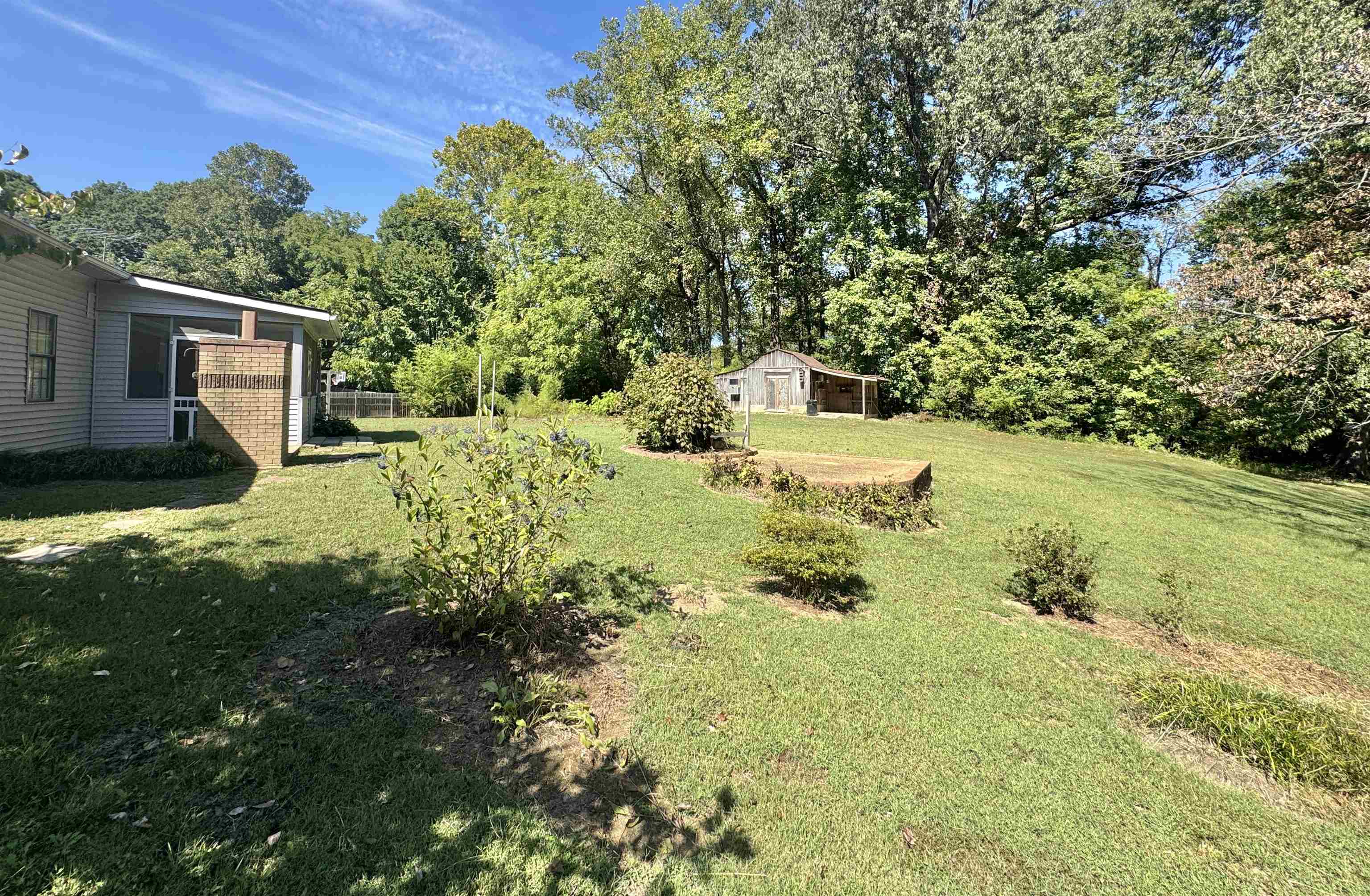 610 Hanna Drive Ripley, TN 38063 - Photo 6 of 23 a view of backyard with green space