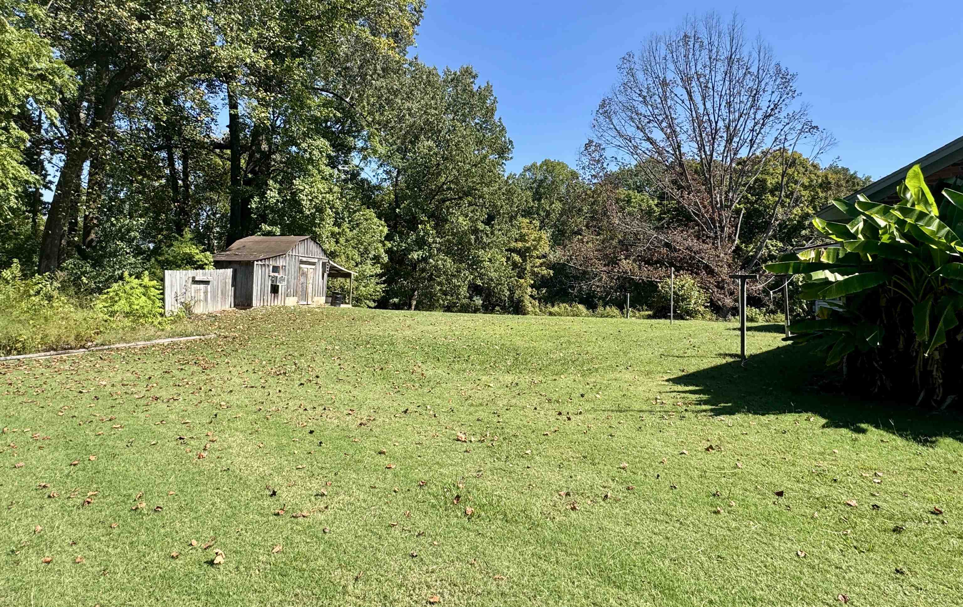 610 Hanna Drive Ripley, TN 38063 - Photo 8 of 23 a view of a garden