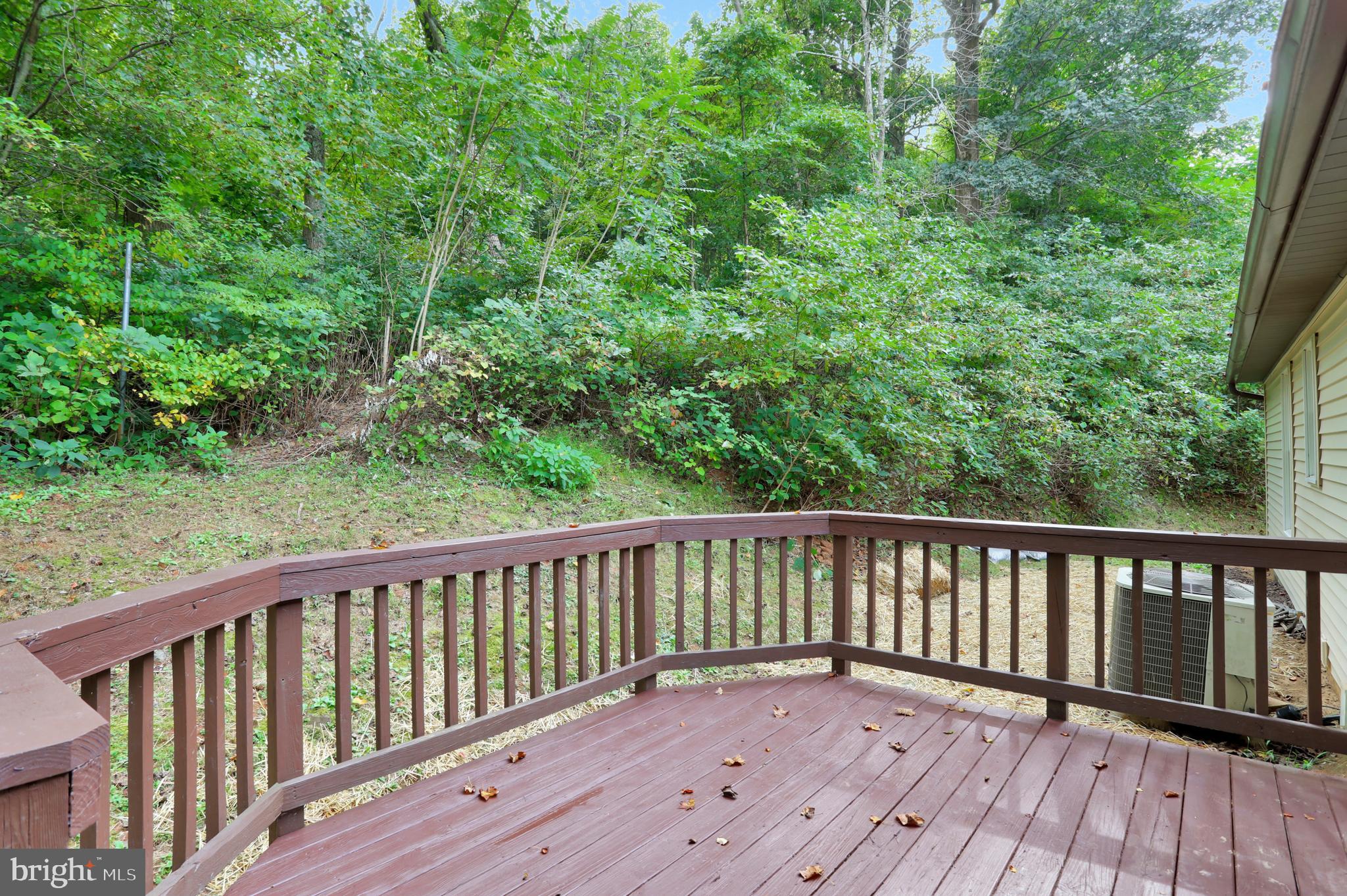 772 Creek Road Front Royal, VA 22630 - Photo 44 of 54