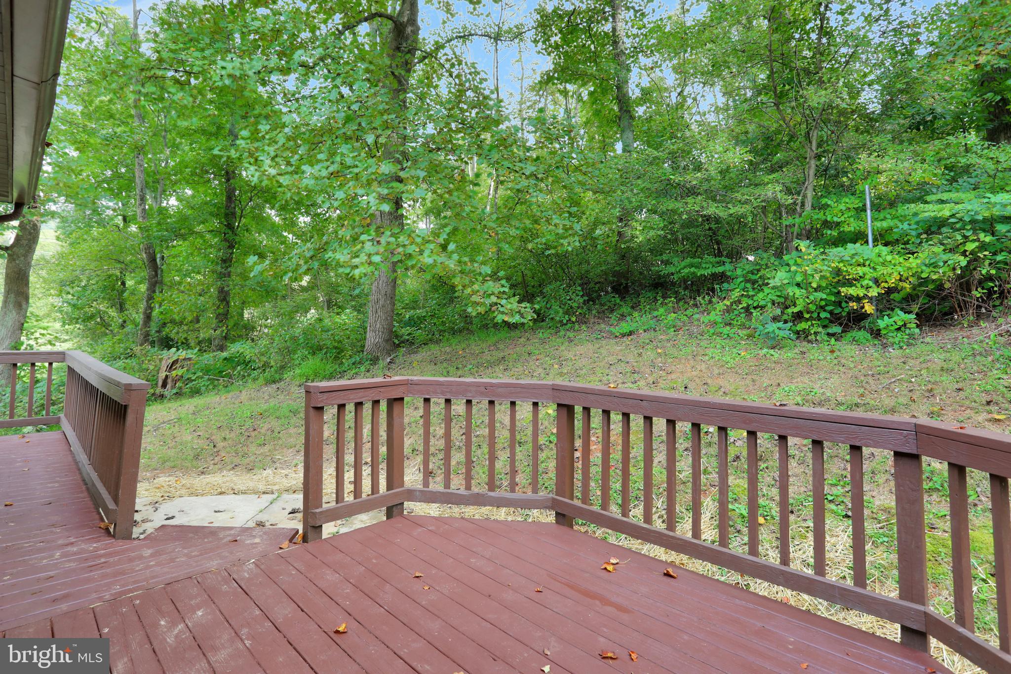 772 Creek Road Front Royal, VA 22630 - Photo 45 of 54