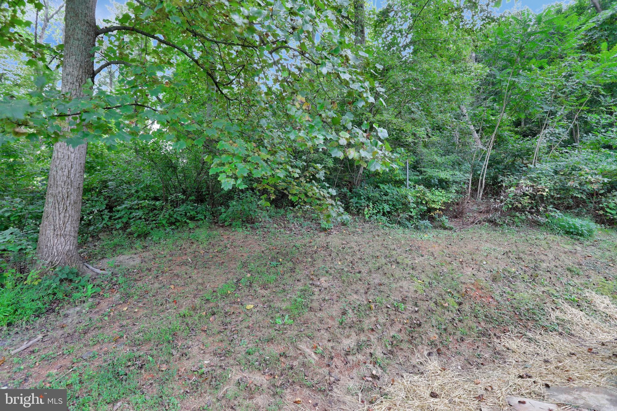 772 Creek Road Front Royal, VA 22630 - Photo 48 of 54