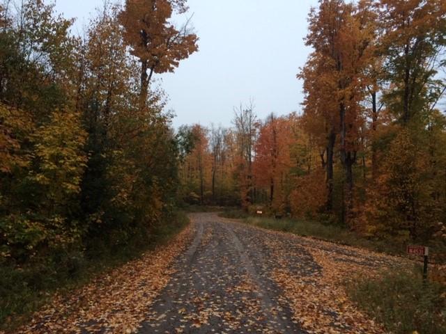 4595-off Pomeroy Lake Road Marenisco, MI 49947 - Photo 32 of 38 Gallery Image 32