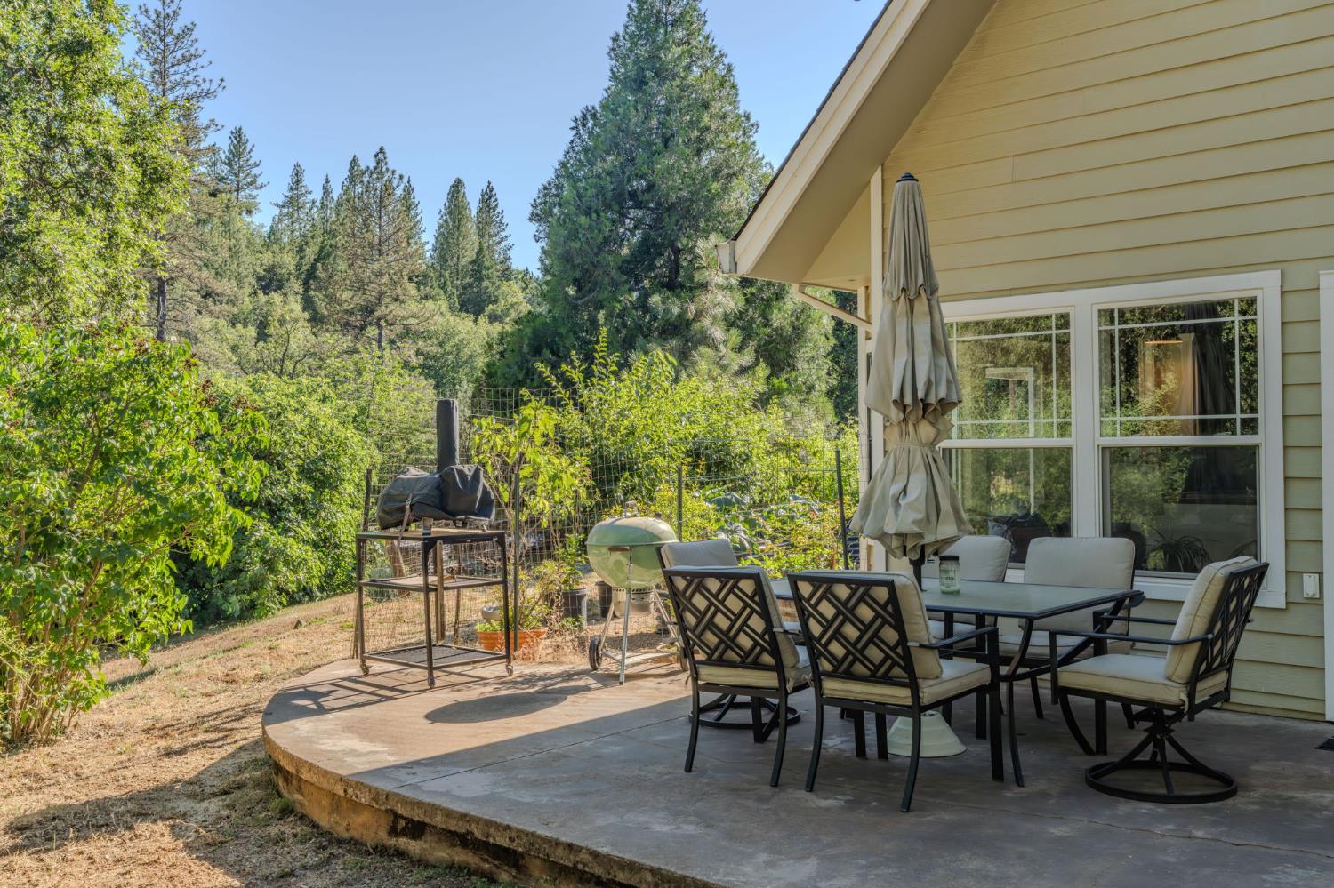 16671 Fiddletown Road Fiddletown, CA 95629 - Photo 9 of 71