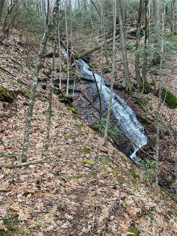 1298 Cold Stream Trail Jasper, GA 30143 - Photo 50 of 57