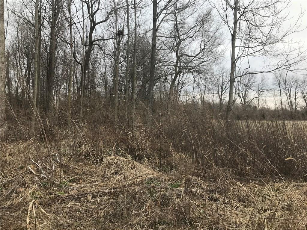 0 South Pitchin Road South Springfield, OH 45502 - Photo 2 of 2