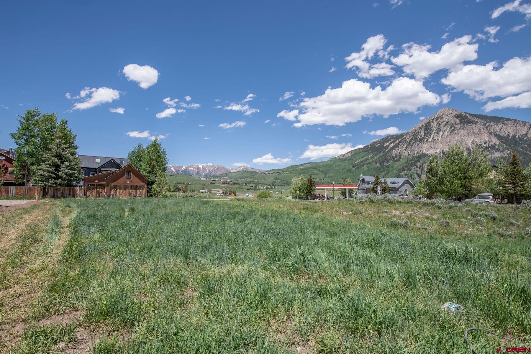 520 Teocalli Avenue Crested Butte, CO 81224 - Photo 6 of 11 a view of a big yard with lots of green space