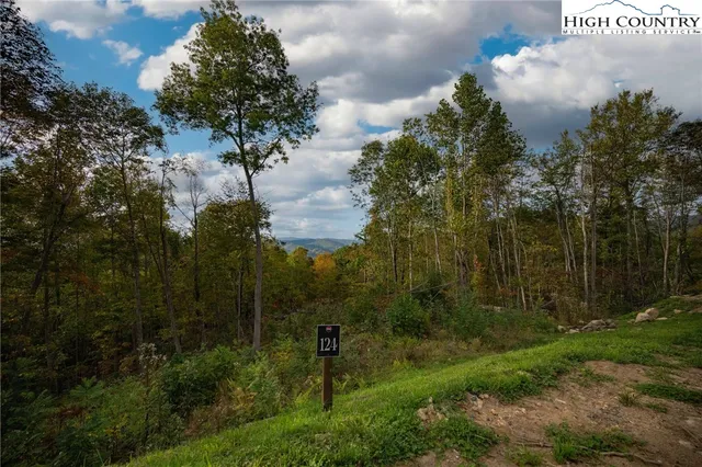 $329,000 | Lot 124 Tower Oaks Trail, Elk Park, NC 28622
