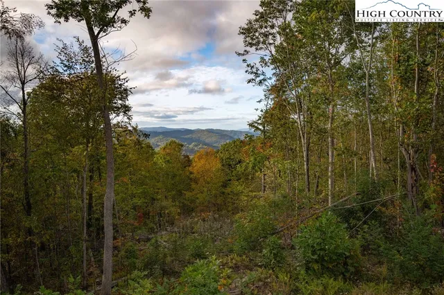 $329,000 | Lot 124 Tower Oaks Trail, Elk Park, NC 28622