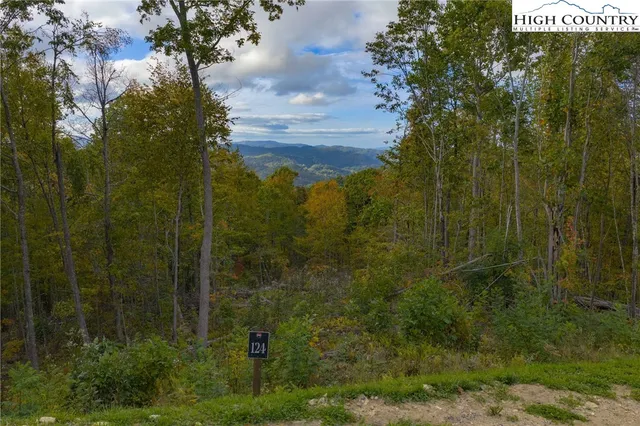 a view of a small yard