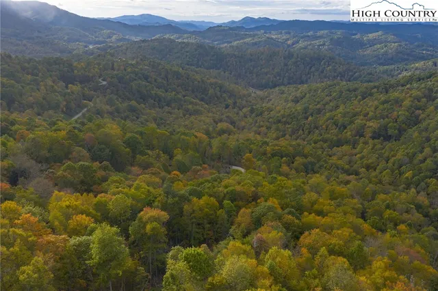a view of a lush green hillside and a mountain