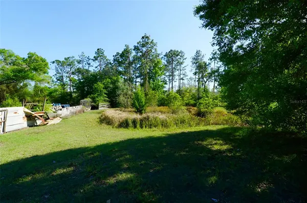 a view of yard with green space