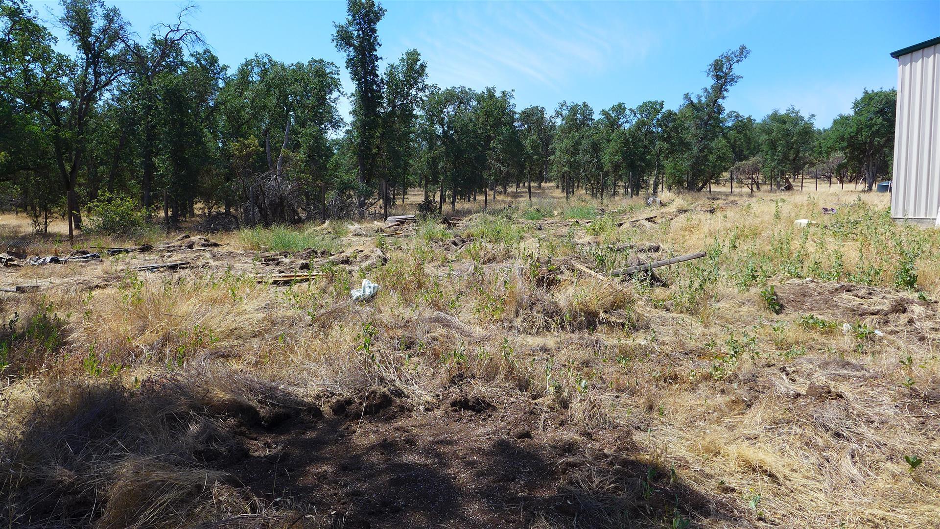 Two 2 Feathers Road Cottonwood, CA 96022 - Photo 14 of 22 P1030358