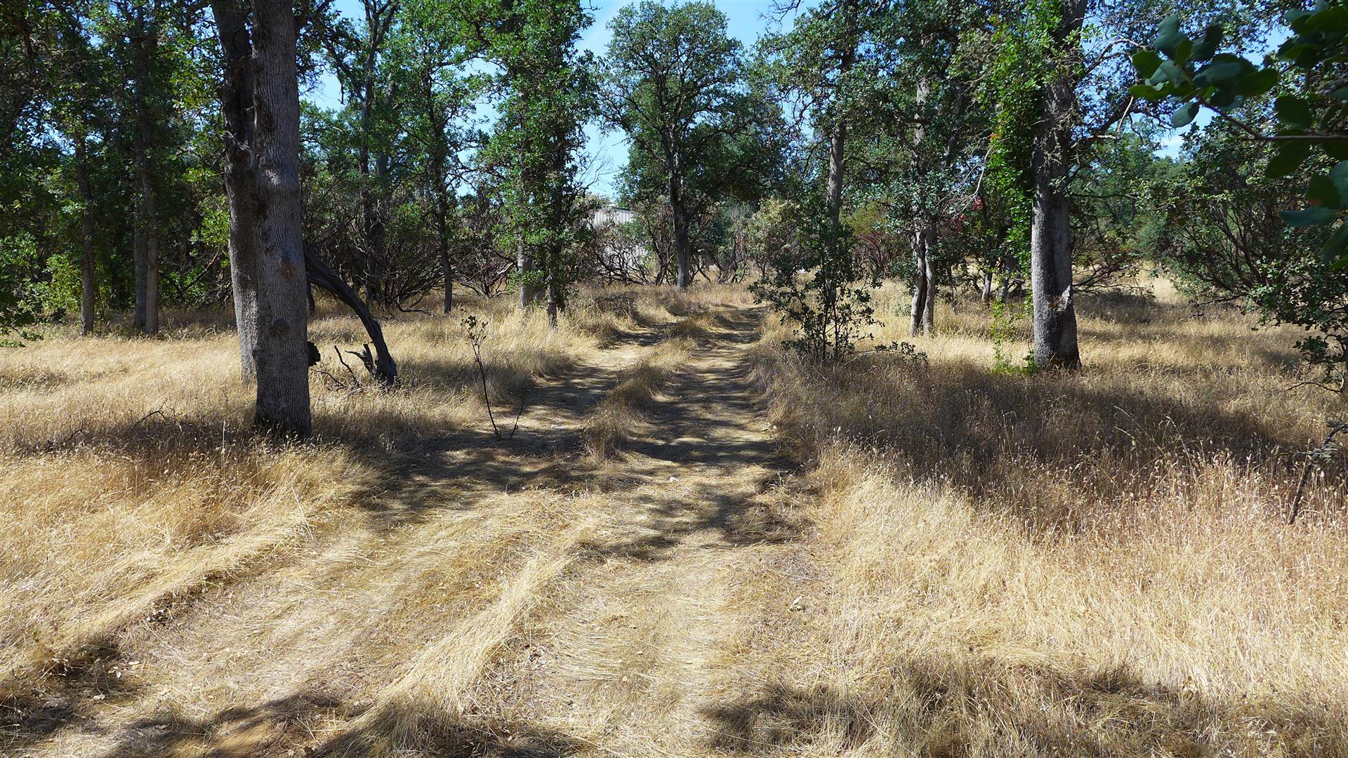 Two 2 Feathers Road Cottonwood, CA 96022 - Photo 20 of 22 P1030370