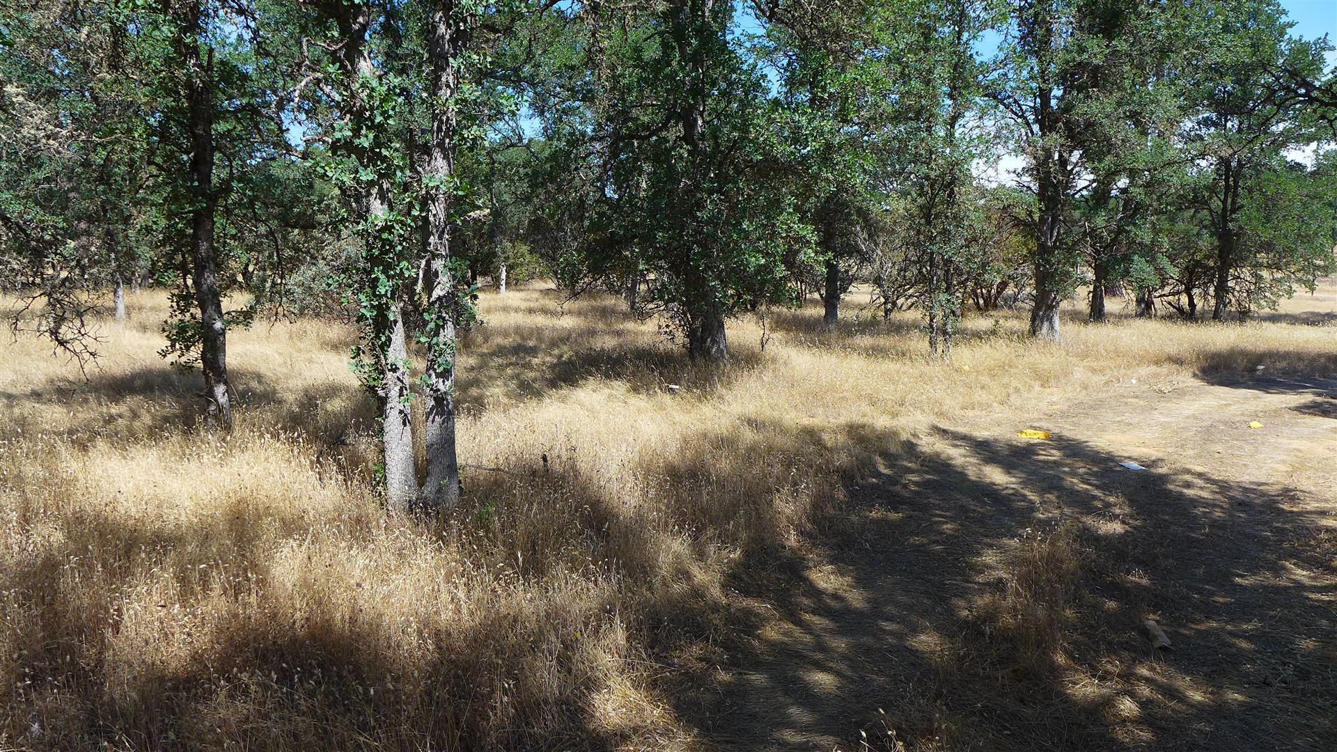 Two 2 Feathers Road Cottonwood, CA 96022 - Photo 21 of 22 P1030371