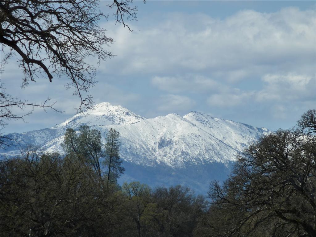 Two 2 Feathers Road Cottonwood, CA 96022 - Photo 22 of 22 P1040213